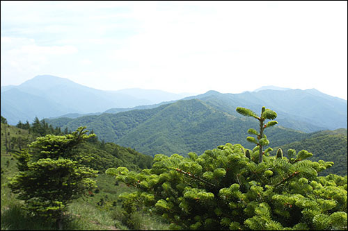 새순 사이로 장쾌하게 뻗은 지리산의 여러 능선 